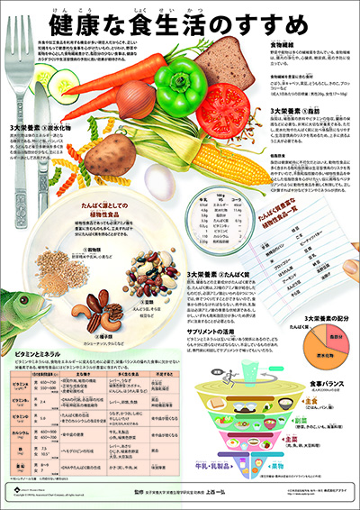 人体解剖図（人体図）　ミニポスター　健康な食生活のすすめ