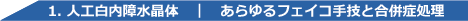 白内障手術練習用模擬眼　机太郎ウェットラボセット 詳細画像4