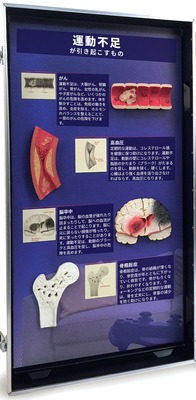 3D模型ディスプレイ 運動不足の危険性の左側のパネル。立体模型4個と日本語の解説