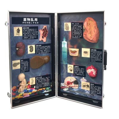 3D模型ディスプレイ 薬物乱用の害の全体。開いたケースの内側に8個の立体模型と日本語の解説が並ぶ