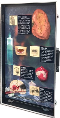 3D模型ディスプレイ 薬物乱用の害の右側のパネル。立体模型4個と日本語の解説