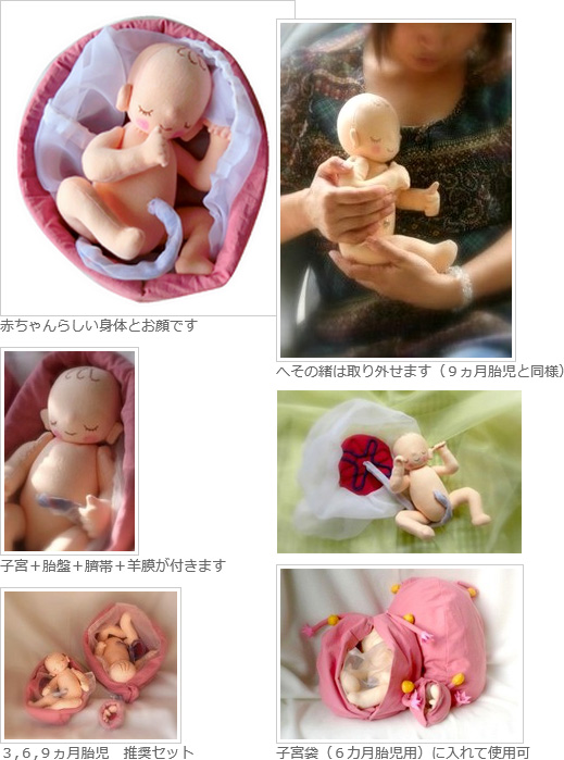 胎児人形/6ヶ月イメージ