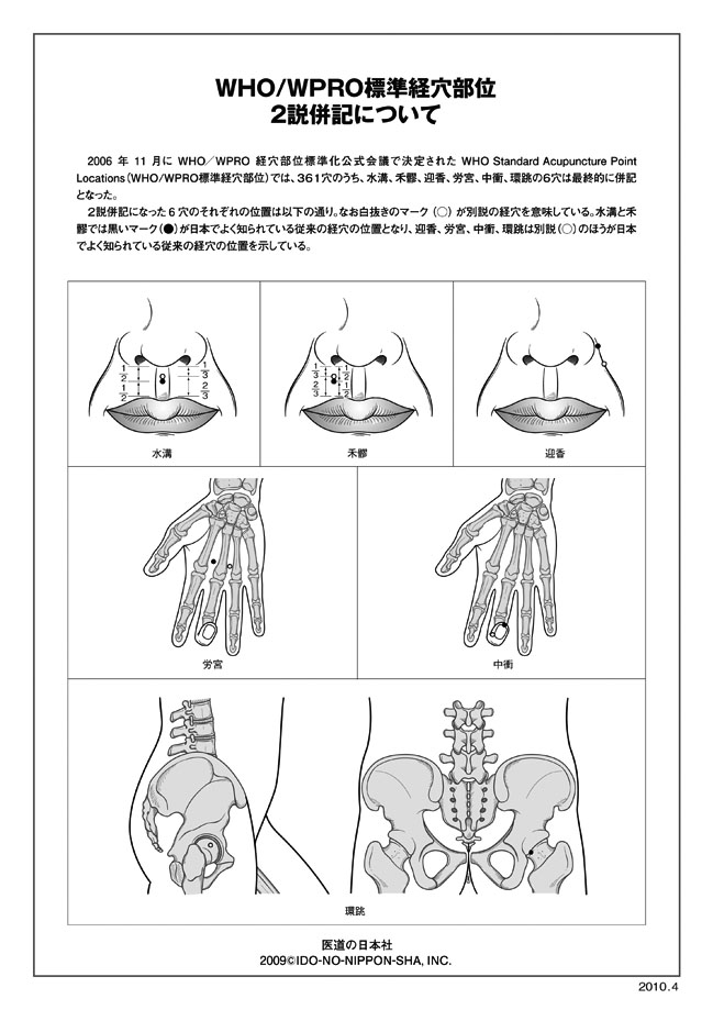医学模型 経絡経穴モデル 詳細画像2
