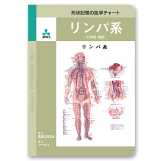 （医学ポスター）　形状記憶の医学チャート　リンパ系