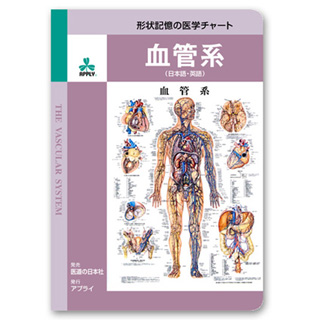（医学ポスター）　形状記憶の医学チャート　血管系