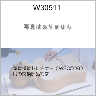 交換部品　フェイスマスク（W30508用）