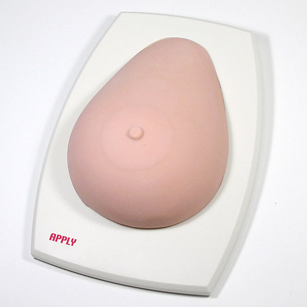 医学模型　乳房触診模型　（乳がん触診）